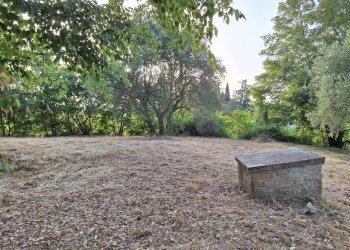 20240618_193743.jpg - Terreno agricolo Via Mossa Dei Barberi  61, Morlupo - foto 6