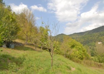 Farmhouse Saliceto - photo 13