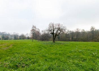 Independent house Via Cave, 471, Bagnolo Piemonte - photo 40