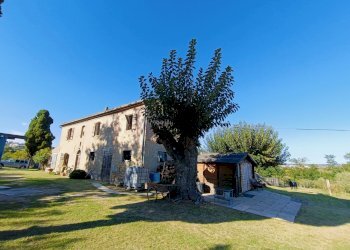 Casa indipendente Bertinoro - foto 4