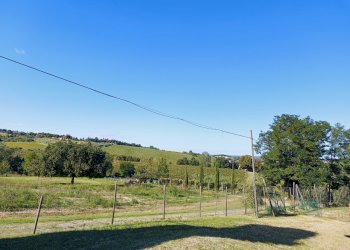 Casa indipendente Bertinoro - foto 7