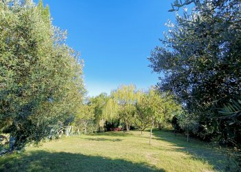 Casa indipendente Bertinoro - foto 9