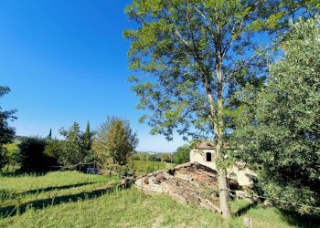 Casa indipendente Bertinoro - foto 10