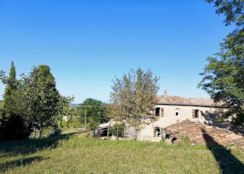 Casa indipendente Bertinoro - foto 13