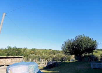 Casa indipendente Bertinoro - foto 17