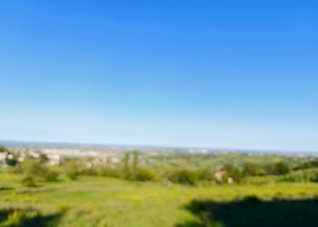 Casa indipendente Bertinoro - foto 18