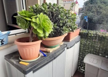 Appartamento Via Amendola, Savona (zona Villetta) - foto 18