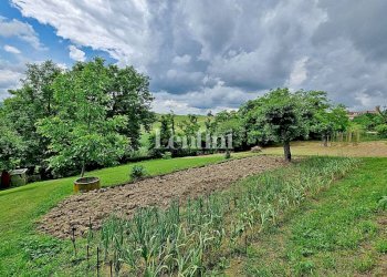 Terreno - Villa Cascine Giarole, 1, Olivola - photo 8