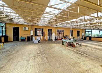 Terrazzo - Appartamento viale Giuseppe Garibaldi, 31, Candia Lomellina - foto 26