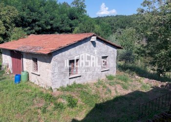 6svezzanocolonica-min.jpg - Casale Vicchio - foto 6