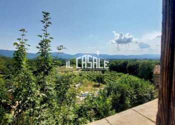 23svezzanocolonica-min.jpg - Casale Vicchio - foto 23