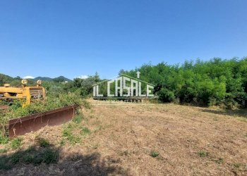 24svezzanocolonica-min.jpg - Casale Vicchio - foto 24