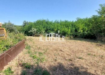 27svezzanocolonica-min.jpg - Casale Vicchio - foto 27