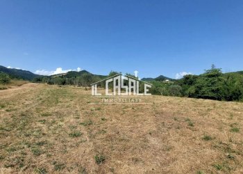 28svezzanocolonica-min.jpg - Casale Vicchio - foto 28