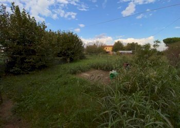 IMG_2793.jpg - Casa indipendente Via E. Toti, Villadose - foto 12