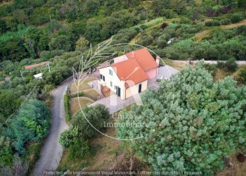 DJI_0359.jpeg - Villa a Schiera Via Valcada, Savona - foto 13