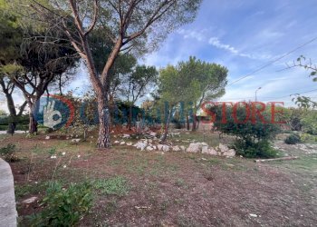 WhatsApp Image 2024-10-02 at 17.43.55 (2)_risultat - Villa Strda dei Colli, Ostuni - foto 4