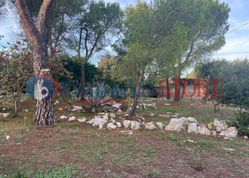 WhatsApp Image 2024-10-02 at 17.43.55 (3)_risultat - Villa Strda dei Colli, Ostuni - foto 5