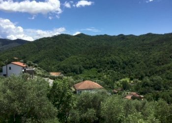 IMG_1734.JPG - Casa indipendente Località Migliaro, Castiglione Chiavarese - foto 11