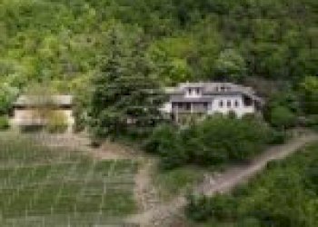 Agricultural land Santo Stefano Belbo - photo 3