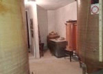 Agricultural land Santo Stefano Belbo - photo 31