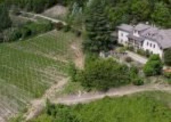 Agricultural land Santo Stefano Belbo - photo 38