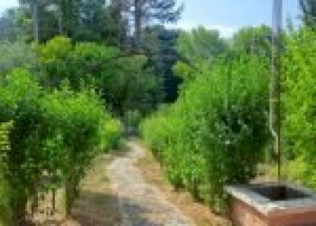 Casa indipendente Santo Stefano Belbo - foto 10