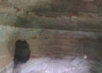 Agricultural land Canelli - photo 20