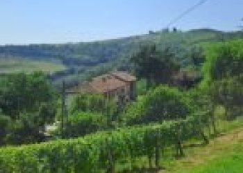 Agricultural land Canelli - photo 24