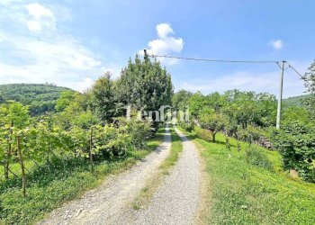 Terreno - Villa via Dovesio, 7, Villamiroglio - foto 3