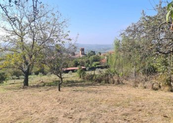 Terreno - Rustic Alfiano Natta - photo 4