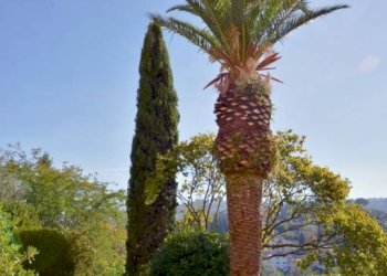 Giardino - Villa via Bolognese, 200, Firenze - photo 23