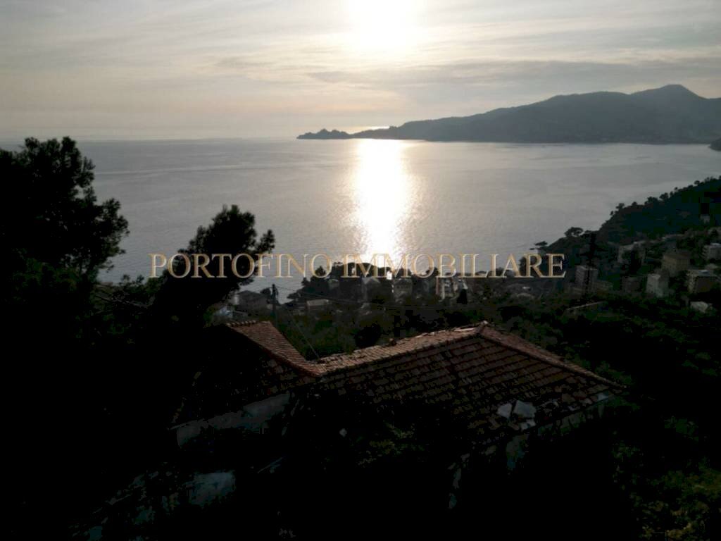 Vista - Villa piazza 27 Dicembre, Zoagli - photo 1