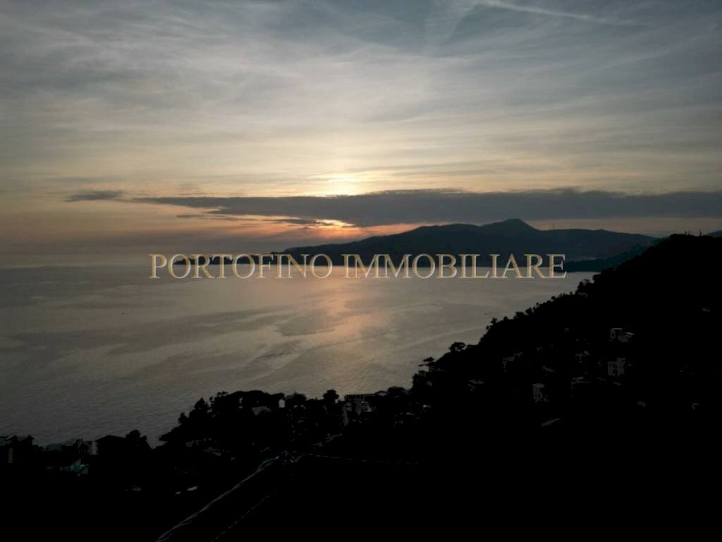 Vista - Villa piazza 27 Dicembre, Zoagli - photo 3