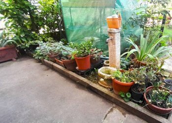 GIARDINO - Quadrilocale via della Pace, Montelupo Fiorentino - foto 2