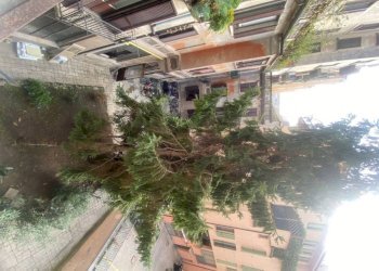 Giardino - Trilocale piazza Giuseppe Grandi, 4, Milano - foto 10