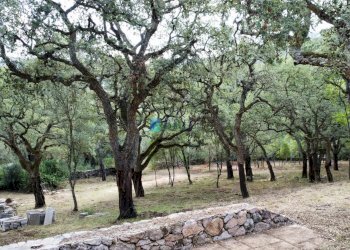 Villa SP38, Calangianus - foto 16