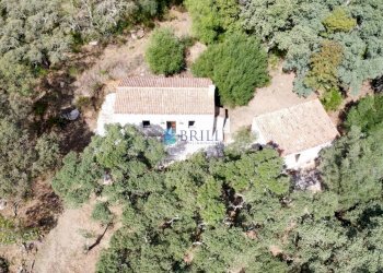 Villa SP38, Calangianus - foto 30