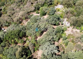 Villa SP38, Calangianus - foto 36