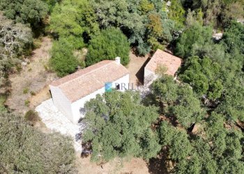 Villa SP38, Calangianus - foto 40