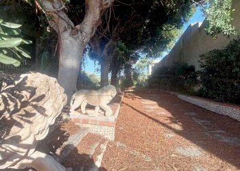 PHOTO-2024-10-05-09-35-22.jpg - Villa Castelvetrano - foto 13