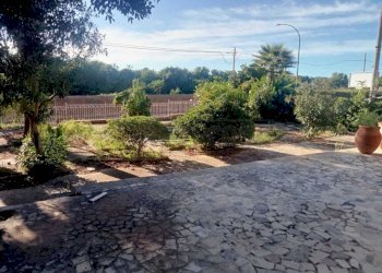 PHOTO-2024-10-05-09-35-23.jpg - Villa Castelvetrano - foto 14