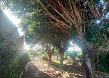 PHOTO-2024-10-05-09-35-25-1.jpg - Villa Castelvetrano - foto 16