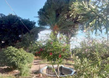 PHOTO-2024-10-05-09-35-28-1.jpg - Villa Castelvetrano - foto 20