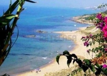 PHOTO-2024-10-05-09-35-30.jpg - Villa Castelvetrano - foto 29