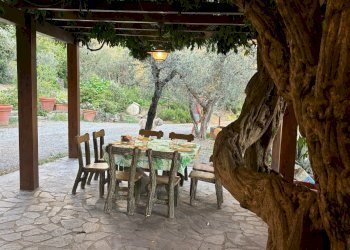 IMG_3728.jpg - Villa Fosdinovo - foto 16