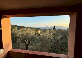 IMG_3719.jpg - Villa Fosdinovo - foto 18