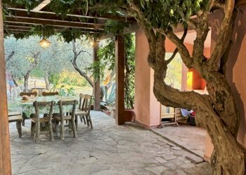 IMG_3730.jpg - Villa Fosdinovo - foto 19