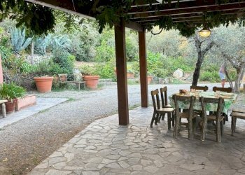 IMG_3734.jpg - Villa Fosdinovo - foto 25