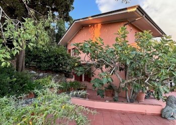 IMG_3745.jpg - Villa Fosdinovo - foto 30